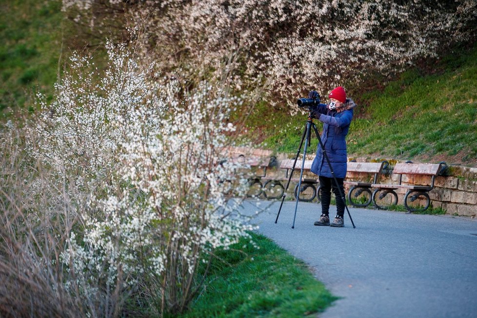 Vylidněná Praha (24.3.2020)