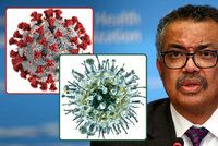 „Zpomalte,“ varuje šéf WHO. Koronavirus je desetkrát smrtelnější než prasečí chřipka