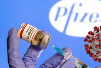 Koronavirus ONLINE: 1403 případů za pondělí v ČR. Zisk Pfizeru vzrostl na 212 miliard