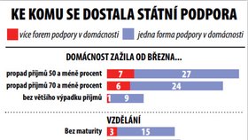 KE KOMU SE DOSTALA STÁTNÍ PODPORA