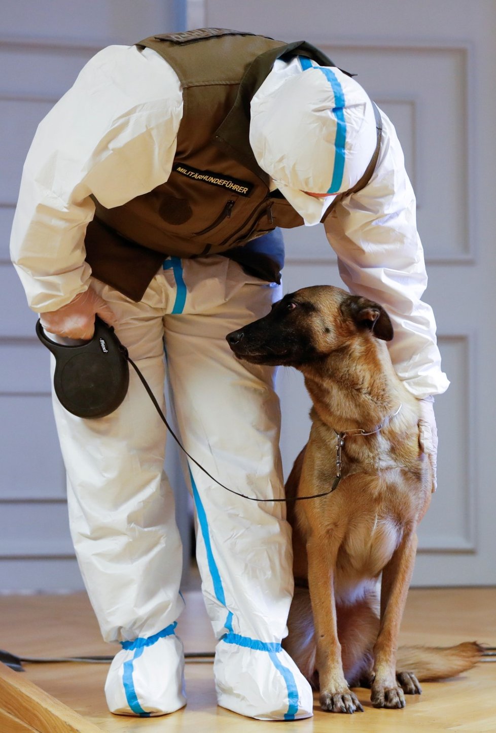 Služební psi rakouské armády umí poznat, zda je někdo nakažený koronavirem.