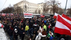 Protest proti vládním opatřením ve Vídni
