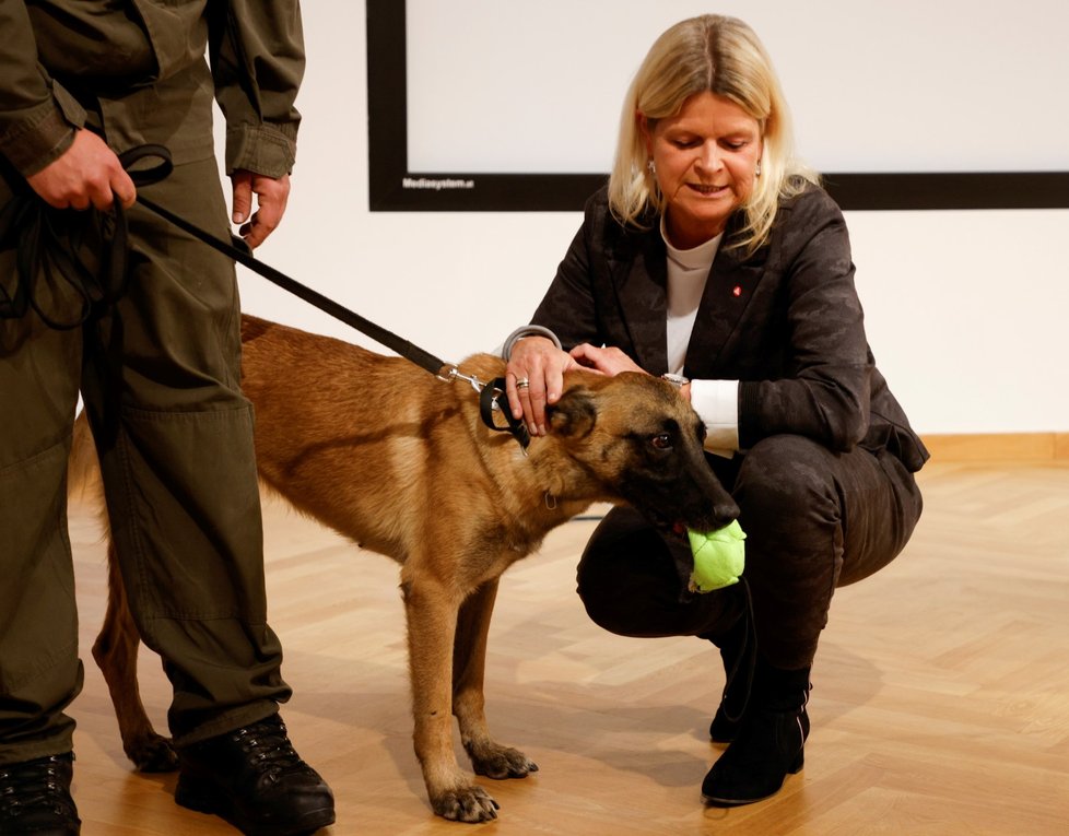 Rakouská armáda cvičí psy k odhalování lidí nakažených covidem.