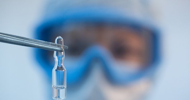 Česká vakcína má úspěch na hlodavcích. Prototyp míří za Prymulou, povolí další výzkum?