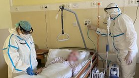 Lékaři a sestry pečují v Nemocnici Milosrdných bratří v Brně o tři desítky pacientů s těžkým průběhem covidu-19.