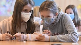 Do lavic se vrátili i žáci šesté třídy v Jihlavě.