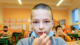 Česku chybí 13 milionů testů do škol, spočítali u Plagy. Zakázku na další musí stát vypsat zítra