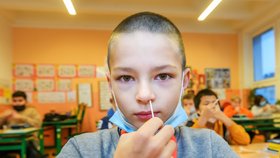 Děti z 10. základní školy Plzeň se testovaly  22. listopadu 2021 antigenními testy na zjištění případného onemocnění covid-19.
