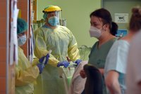 Přibývá Čechů, kteří se nakazili podruhé: Za poslední měsíc devětkrát víc reinfekcí. Proč?