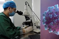Koronavirus jako postrach pro muže: Těžký průběh ovlivní plodnost, naznačila studie