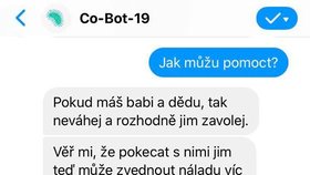 Cobot je velmi intuitivní, navíc prostředí Messengeru jeho uživatelé dobře znají