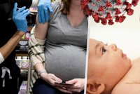 Očkování těhotných chrání miminko před těžkým covidem i půl roku po porodu, zjistila studie