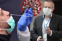 V Česku bují skrytá nákaza, varují experti. Proč PES i přes „zlepšení“ vrčí na pětce?