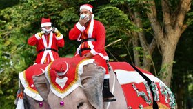 Santa Claus v Thajsku přijel na slonech. Rozdával roušky (23. 12. 2020)