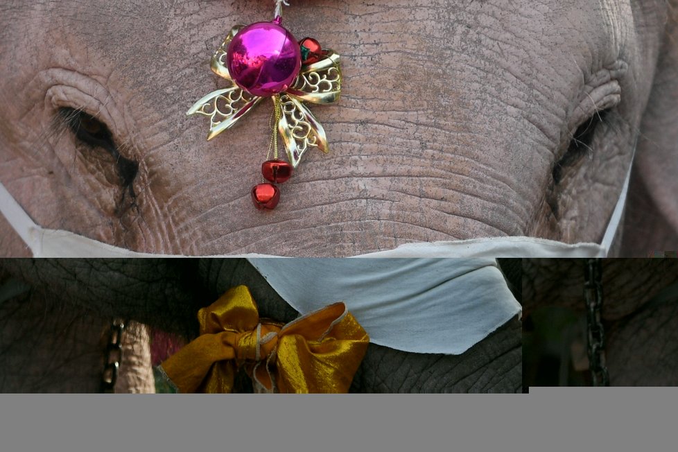Santa Claus v Thajsku přijel na slonech. Rozdával roušky (23. 12. 2020)