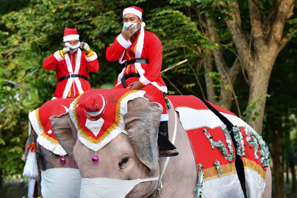 Santa Claus v Thajsku přijel na slonech. Rozdával roušky (23. 12. 2020)