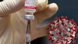 Další naděje v boji s koronavirem? Vědci testují starou vakcínu proti tuberkulóze