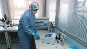 Koronavirus v Turecku, rychlotestování viru, (21.03.2020).