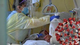 Boj s koronavirem v přetížené sokolovské nemocnici (2. 3. 2021) (ilustrační foto)