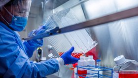 Vědci z pittsburské univerzity se podílejí na výzkumu koronaviru.