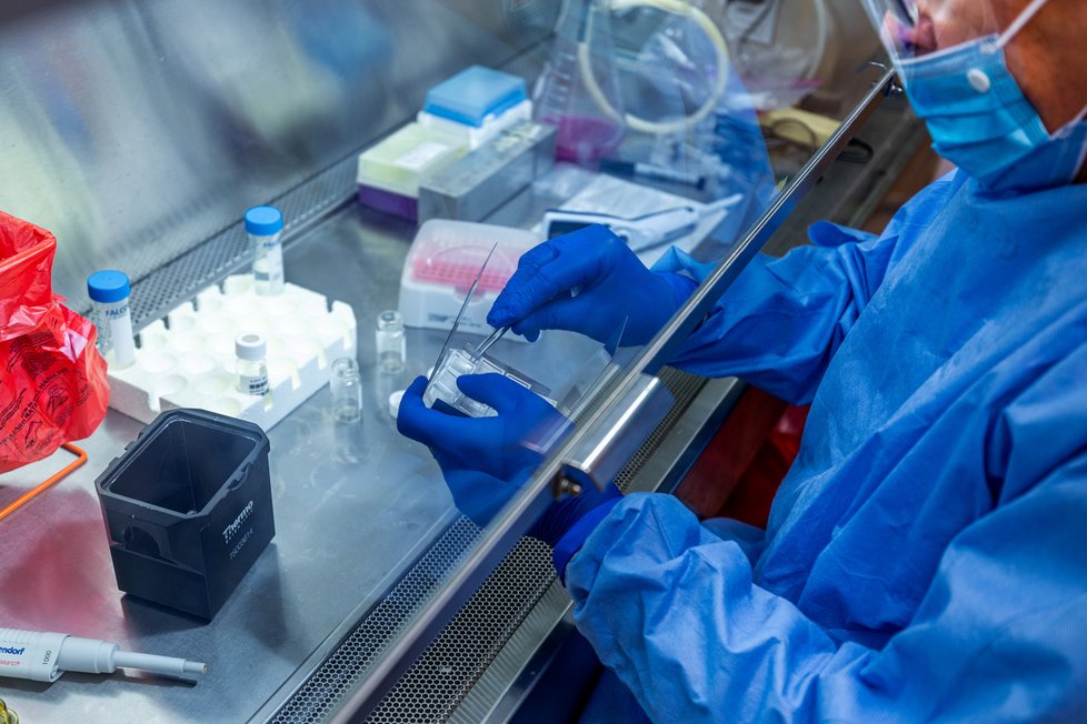 Vědci z pittsburské univerzity se podílejí na výzkumu koronaviru.