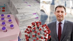Francouzský velvyslanec v ČR: O zvládání koronaviru, očkování i plánech po rozvolnění
