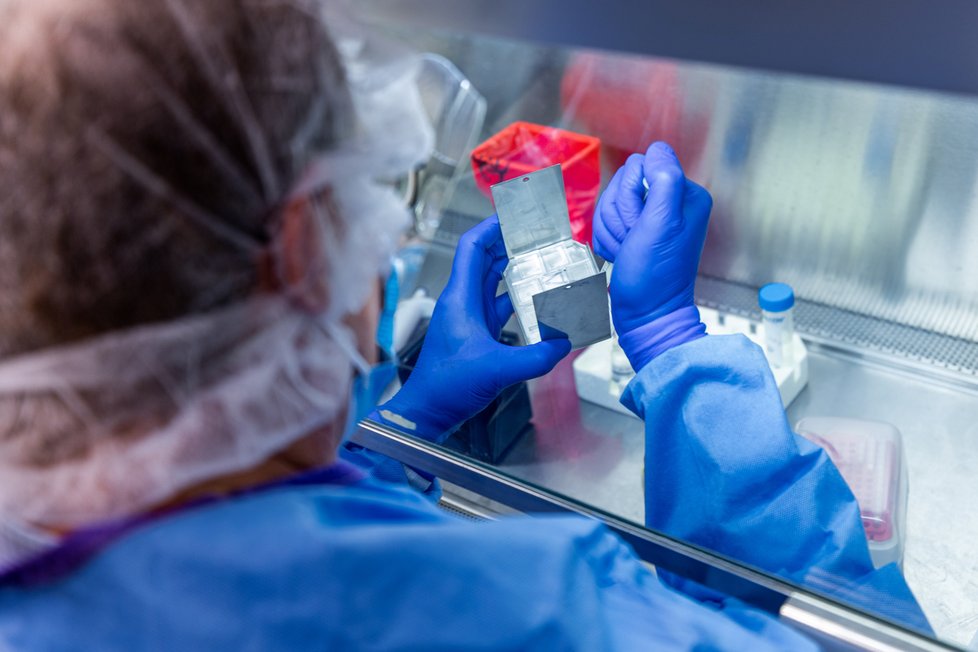 Pittsburská univerzita se snaží vynalézt vakcínu proti koronaviru. (2. 4. 2020)