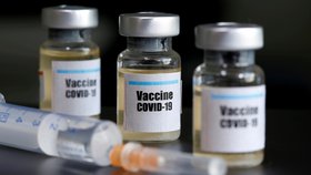 Na vývoji vakcíny proti koronaviru pracuje řada zemí.