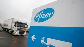 Očekává se, že látku od firmy Pfizer schválí Evropská agentura pro léčivé přípravky (EMA) pro Evropskou unii 21. prosince.