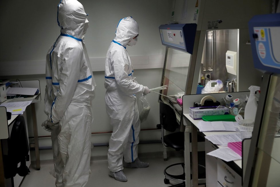 Čeští vědci se podíleli na vývoji testu prokazujícího koronavirus