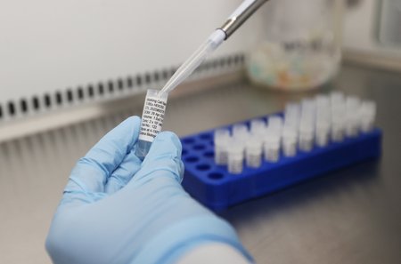 Vacínu proti koronaviru se snaží vyvinout řada laboratoří.
