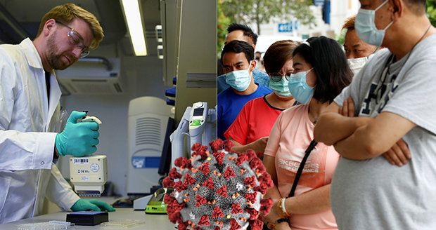 Důchodci a diabetici, ale i chudí a černoši. Vědci řekli, koho nejvíc ohrožuje koronavirus