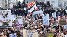 Britové zaplnili Trafalgarské náměstí v Londýně a znovu protestují proti koronavirovým restrikcím.