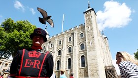 Takzvaní Beefeaters již více než půl tisíciletí chrání londýnský hrad Tower před povstalci a útočníky. Nyní jim poprvé hrozí propouštění.