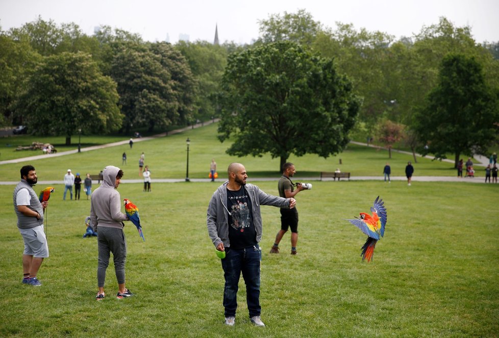 Britové využili hezkého počasí a vyrazili do parků. Dodržují ale bezpečné rozestupy.