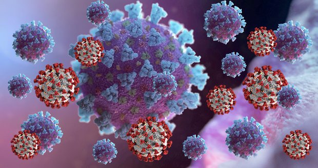 Nebezpečné mutace koronaviru: Co o nich víme a jak moc jsou nakažlivé? 