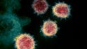Původce pandemie onemocnění COVID-19, virus SARS-CoV-2 na snímku z elektronového mikroskopu