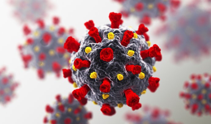 Vědci prezentují dosud známá fakta o novém koronaviru