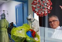 Konec dohadů: „Koronavirus pochází z Číny,“ tvrdí expert WHO a přidal netopýry