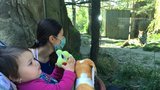 Brněnská zoo po koronavirové pauze opět otevřela: Zájem byl velký, lístky jen online 