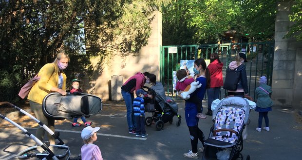 Brněnská zoo otevřela v pondělí jako jediná na jižní Moravě po zmírnění vládních opatření proti koronaviru.