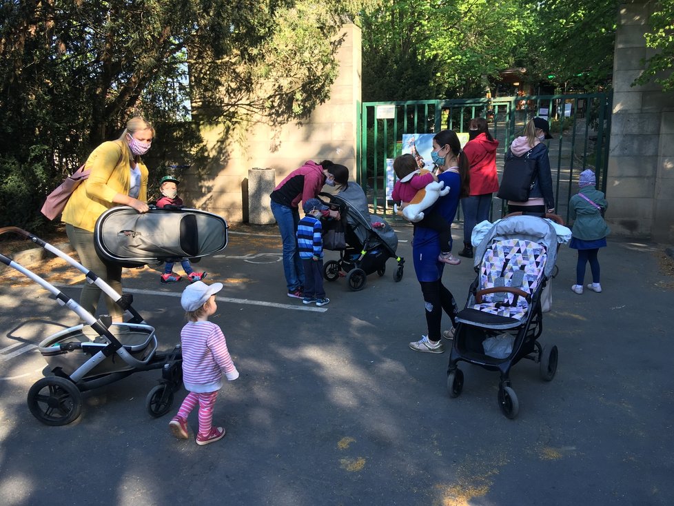 Zoo Brno po šestitýdenní pauze kvůli omezením vůči nákaze koronavirem otevřela znovu své brány.