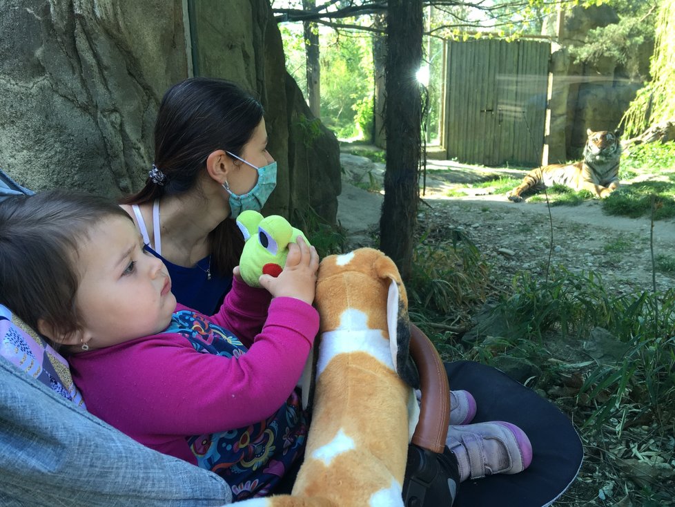 Zoo Brno po šestitýdenní pauze kvůli omezením vůči nákaze koronavirem otevřela znovu své brány.