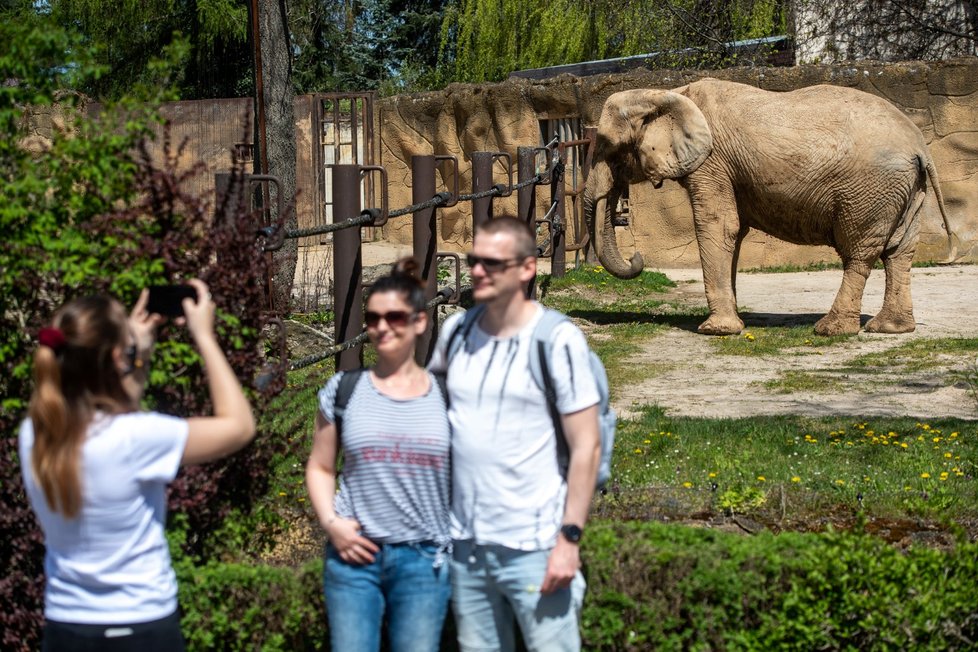 Koronavirus v ČR: Počasí vylákalo Čechy do ZOO ve Dvoře Králové (9.5.2021)