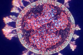 Omikron: Nová hrozba, nebo naděje, jak zatočit s koronavirem? Názory odborníků se různí