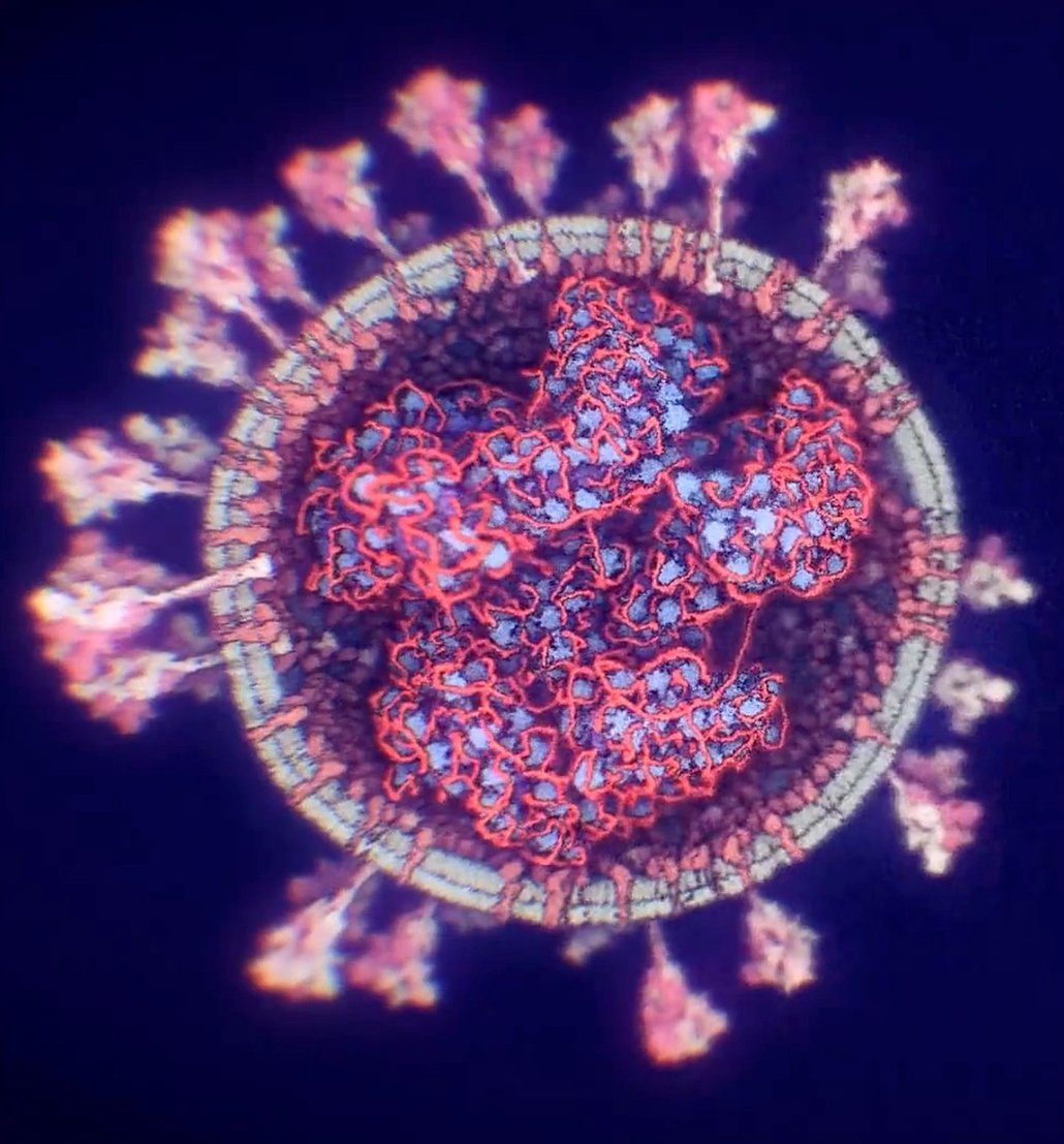 V současné chvíli je na světě více než 114 milionů lidí nakažených virem Covid-19, přes 2,5 milionu jich zemřelo. Nákaza se projevuje obvykle jako těžší chřipka, u jedinců s oslabenou imunitou ale může mít fatální následky. Virus napadá především dýchací systém, projevuje se ale i jinde v organismu. Všechny fyzické dopady nákazy zatím nejsou známy.