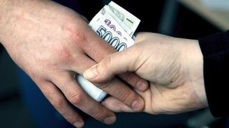 Česká republika si v žebříčku vnímané korupce polepšila o čtyři místa