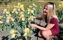 Kvetoucí kosatce v Brně: Barevná pastva pro oči