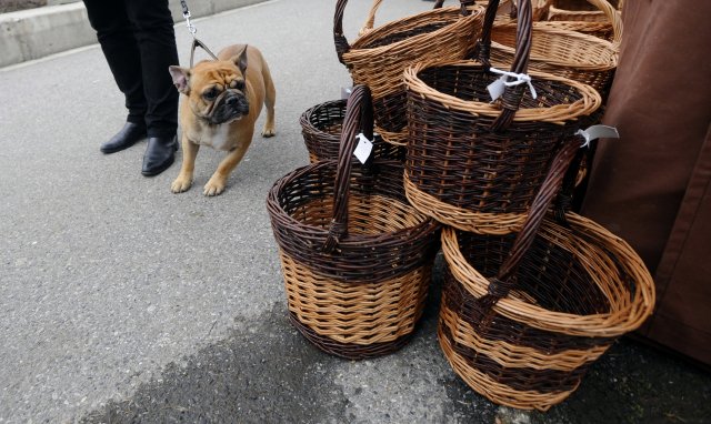 Potraviny dostanete do košíků a poté do papírových pytlíků zdarma.