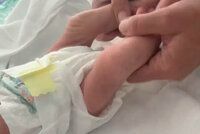 Ve schránce na odložené děti našli mrtvého novorozence! Ležel v inkubátoru bratislavské nemocnice několik dní